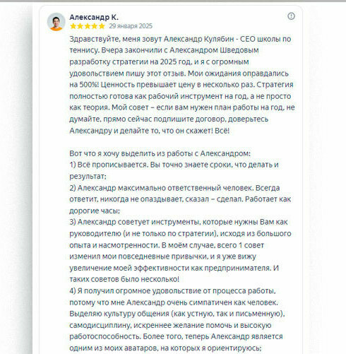Отзыв Стратегическое решение Александр Шведов Разработка стратегии